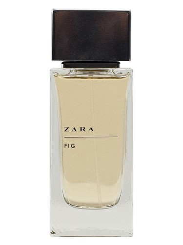 Zara Fig