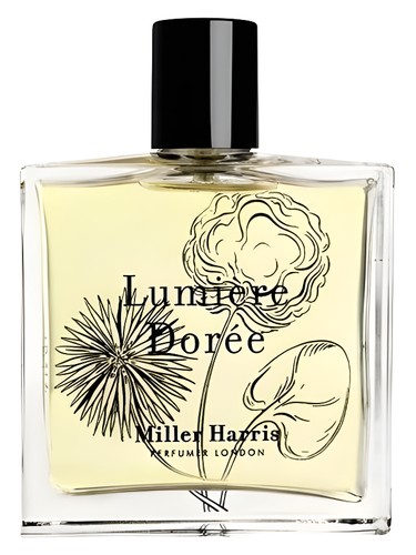 Lumière Dorée | Miller Harris | Eau de Parfum – Miller Harris US