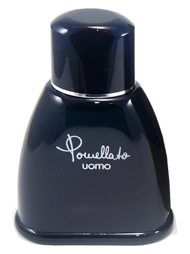 Pomellato Uomo Pomellato pro muže 