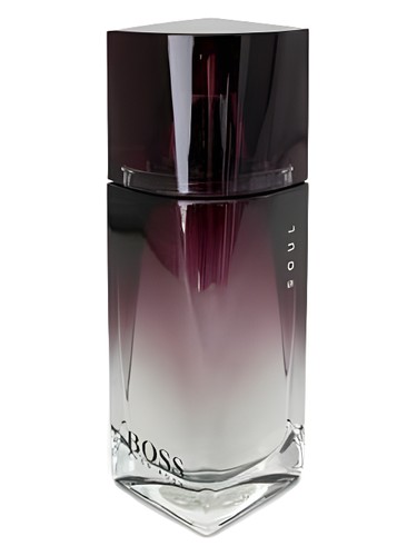 大人気新品 Boss Soul 2005 men for fragrance a - cologne Boss Hugo 香水(男性用)