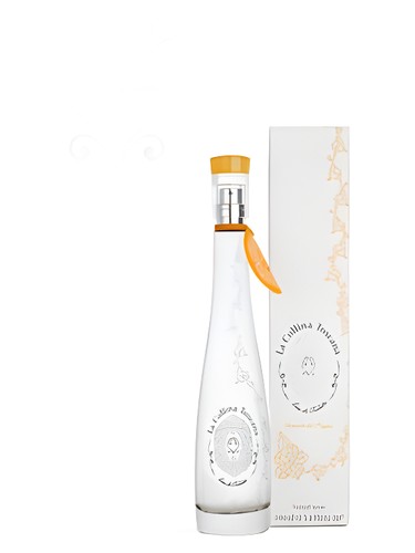 La Collina Toscana Hillock Sunflower