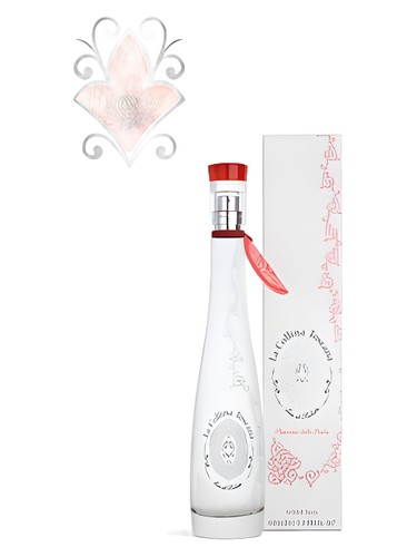 La Collina Toscana Poppy of Cliffs