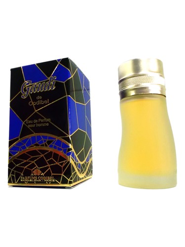 Gaudi Parfums Codibel pro muže 