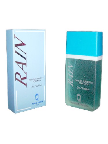 Paris - Dakar Rain Parfums Codibel pro muže 