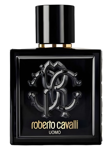 Roberto Cavalli Uomo Roberto Cavalli cologne - a fragrance