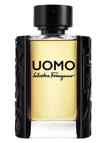 Amazon.com: Salvatore Ferragamo Uomo Signature for Men - 3.4