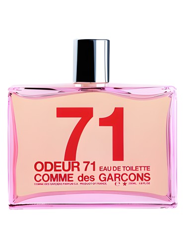 COMME des GARCONS ODEUR　香水 Odeur 71 Comme des Garcons 香水- 一款2000年中性香水