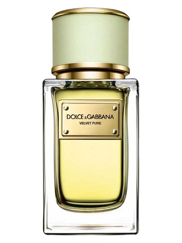 Velvet Pure Dolce&amp;Gabbana pro ženy 