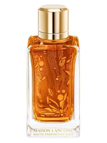 perfume Oud Ambroisie Lancôme pro ženy a muže 