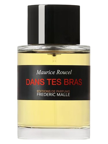 Dans Tes Bras
