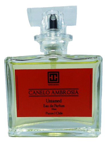 Canelo Ambrosia Terragonia pro muže 