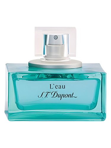L eau de s t dupont pour homme
