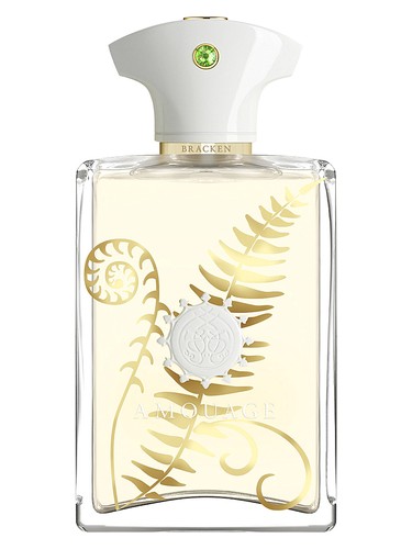 Bracken Man Amouage pro muže 