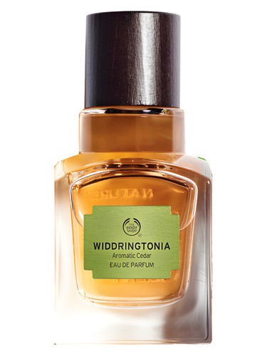 Widdringtonia The Body Shop pro ženy a muže 