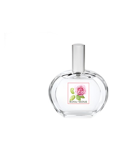 Rosa Rosae Helan pro ženy