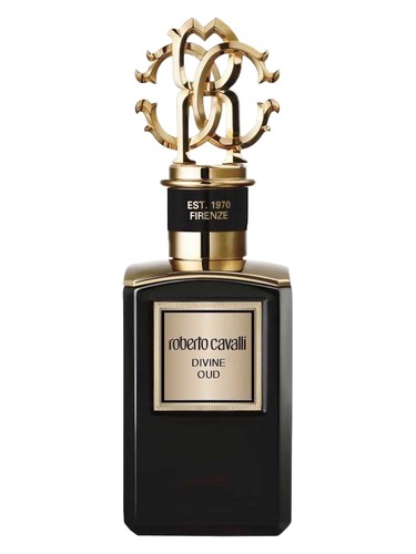 Divine Oud Roberto Cavalli pro ženy a muže