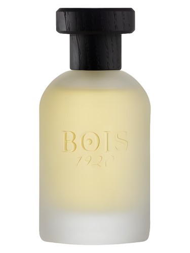 Real Patchouly Bois 1920 pro ženy a muže