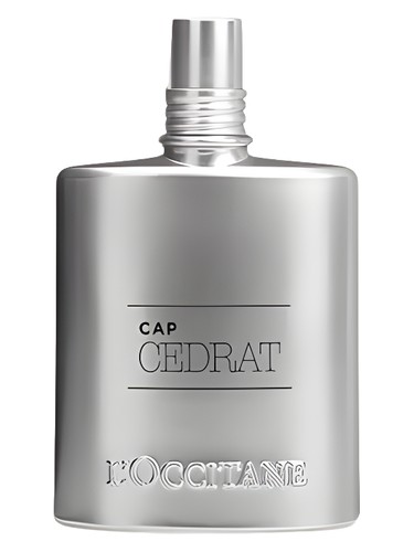 【再入荷】 L'Homme Cologne Cedrat L'Occitane en 香水(男性用)