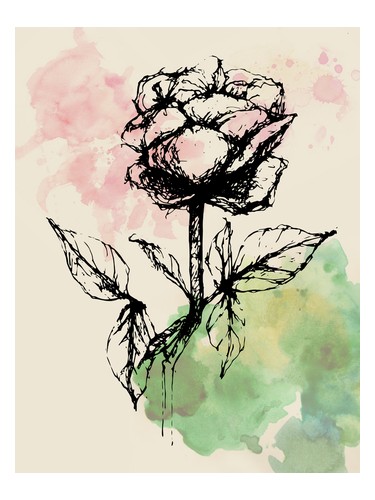 No. 2 Allen Shaw pro ženy a muže 