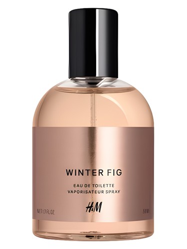 Winter Fig H&amp;M pro ženy a muže 