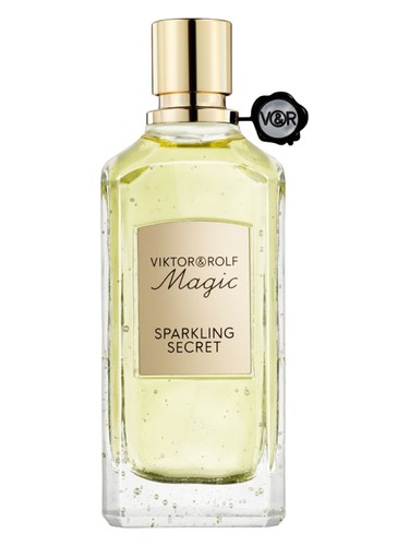 Sparkling Secret Viktor&amp;Rolf pro ženy a muže 