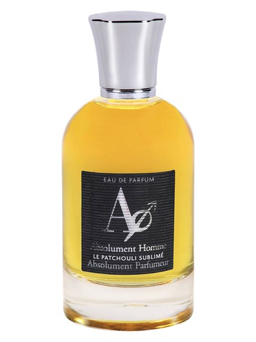 Absolument Homme Absolument Parfumeur pro muže 