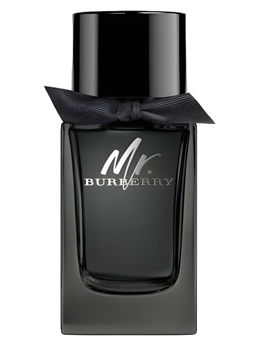 Mr. Burberry Eau de Parfum Burberry pro muže 