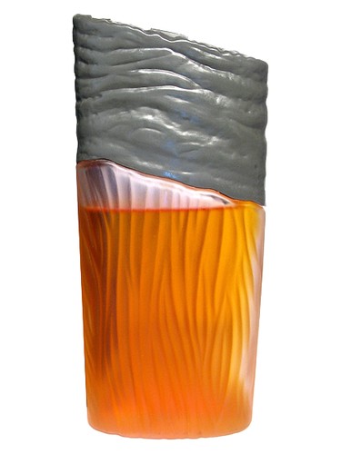 perfume Marcella Wouters Marcella Wouters pro ženy 