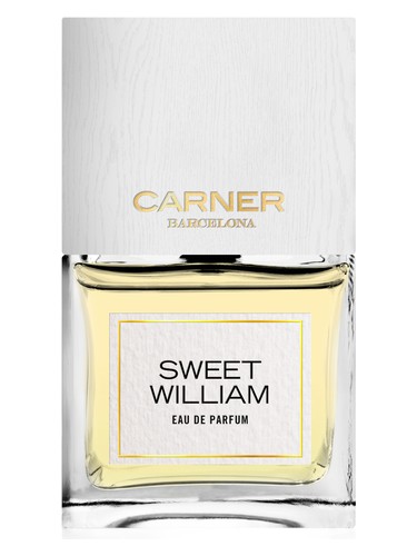 Sweet William Carner Barcelona pro ženy a muže