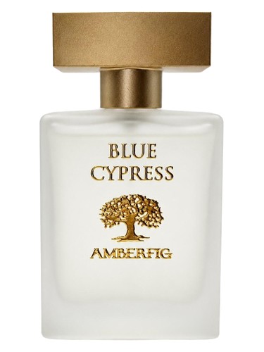Blue Cypress by Amberfig