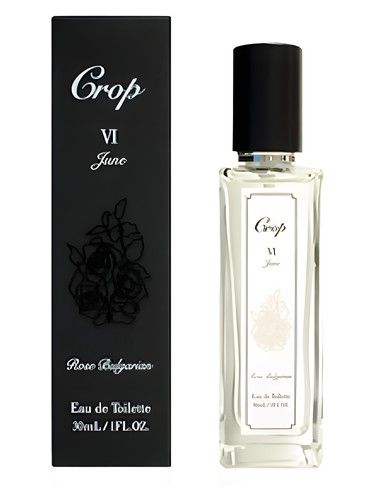 VI June Crop pro ženy a muže 