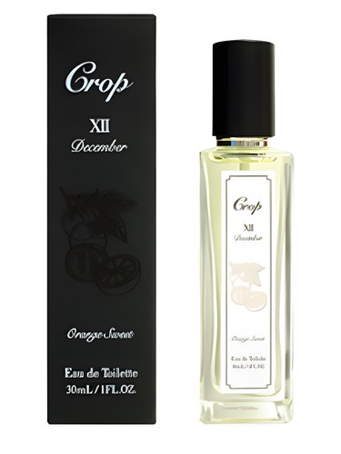 XII December Crop pro ženy a muže 