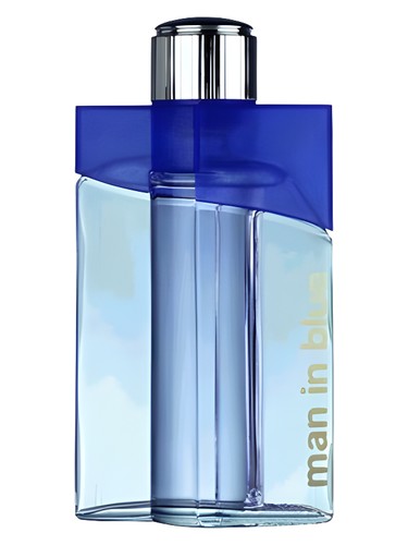 Aubusson Man in Blue