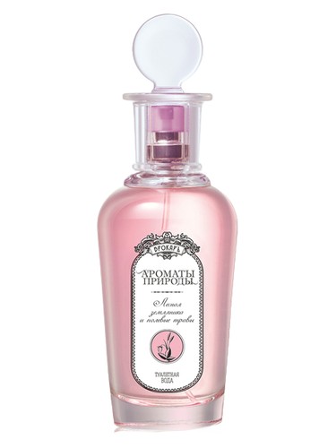 Лесная земляника и полевые травы - Wild Strawberry and Herbs Brocard pro ženy 
