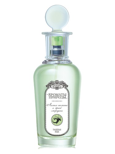 Листья томата и черной смородины - Tomato and Black Currant Leaves Brocard pro ženy 