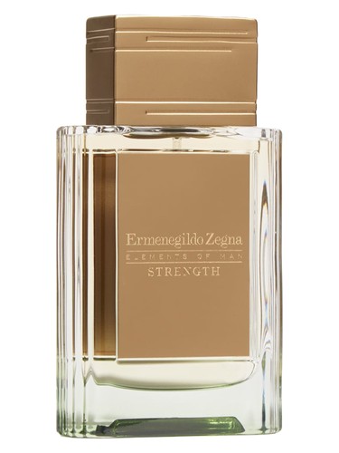 Strength Ermenegildo Zegna pro muže