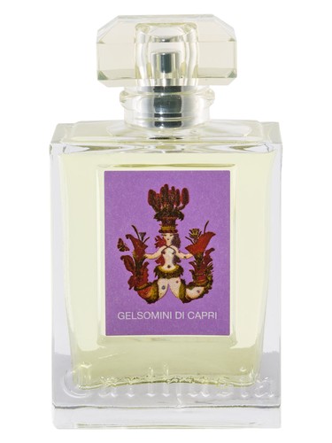 Gelsomini di capri 2017