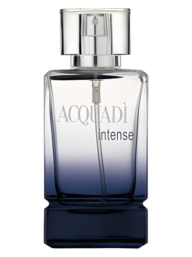 AcquaDi Intense AcquaDì pro muže 