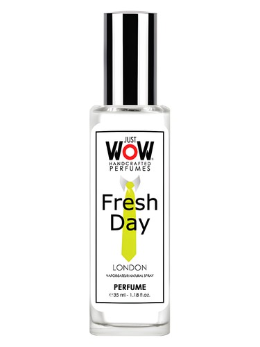 Just Wow Fresh Day Croatian Perfume House pro muže 