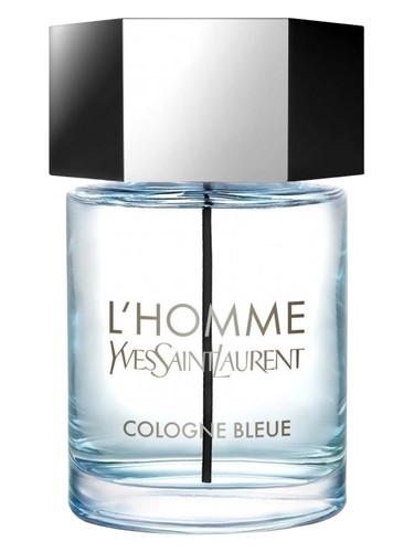 Yves Saint Laurent L'Homme 男性用香水 楽天市場】＼2000円OFFクーポン／イヴ サンローラン ロム ル