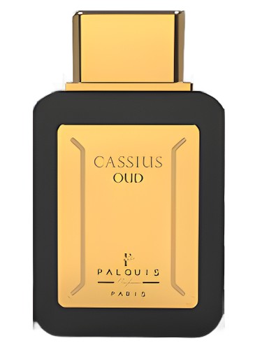 perfume Cassius Oud Palquis pro muže 