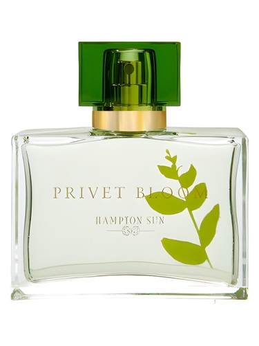 perfume Privet Bloom Hampton Sun pro ženy 