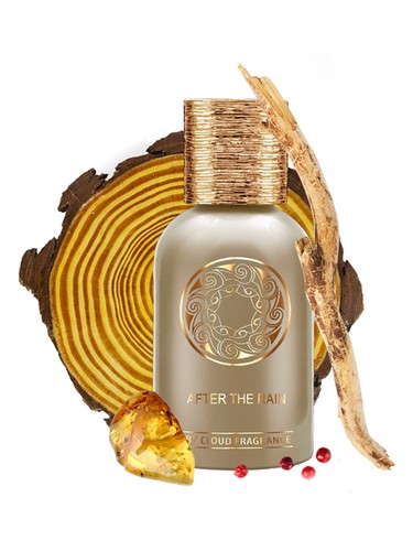 After The Rain By Cloud pro ženy a muže 