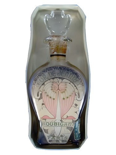 Coeur de Jeannette Houbigant pro ženy