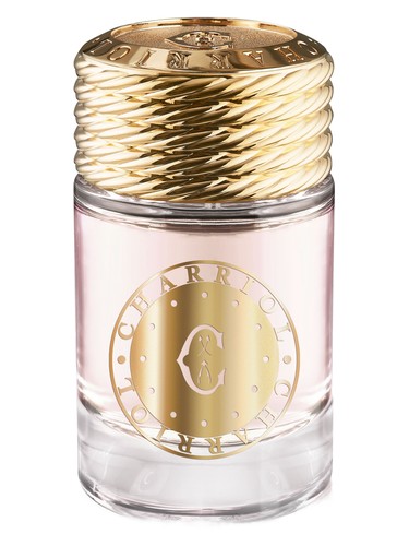 Infinite Celtic For Women Charriol pro ženy