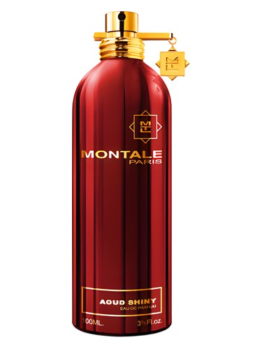 Aoud Shiny Montale pro ženy a muže 