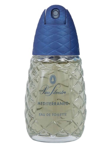 Pino Silvestre Mediterraneo by Pino Silvestre