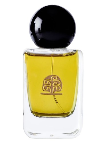 Hommage à Paul Klee Lights and Shadows