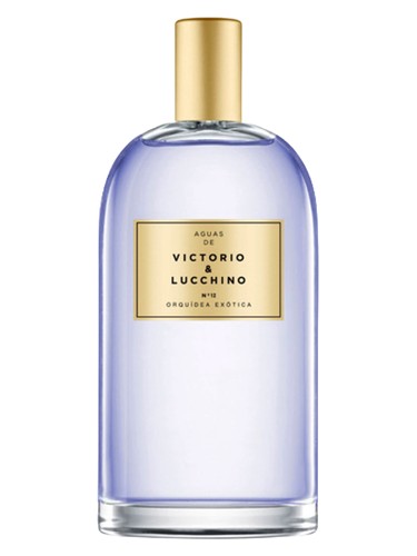 No 12 orquidea exotica exotic orchid