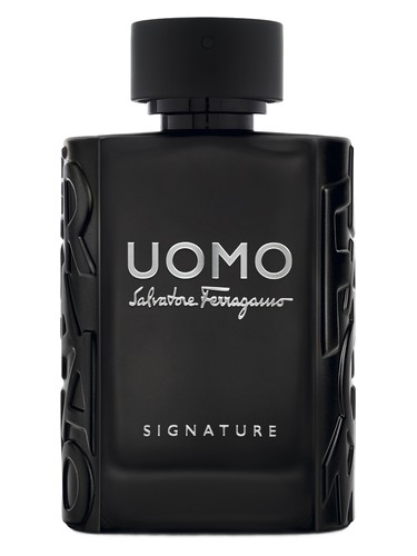 Uomo Salvatore Ferragamo Signature Salvatore Ferragamo 古龙